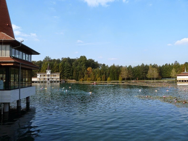 Lacul-Heviz5